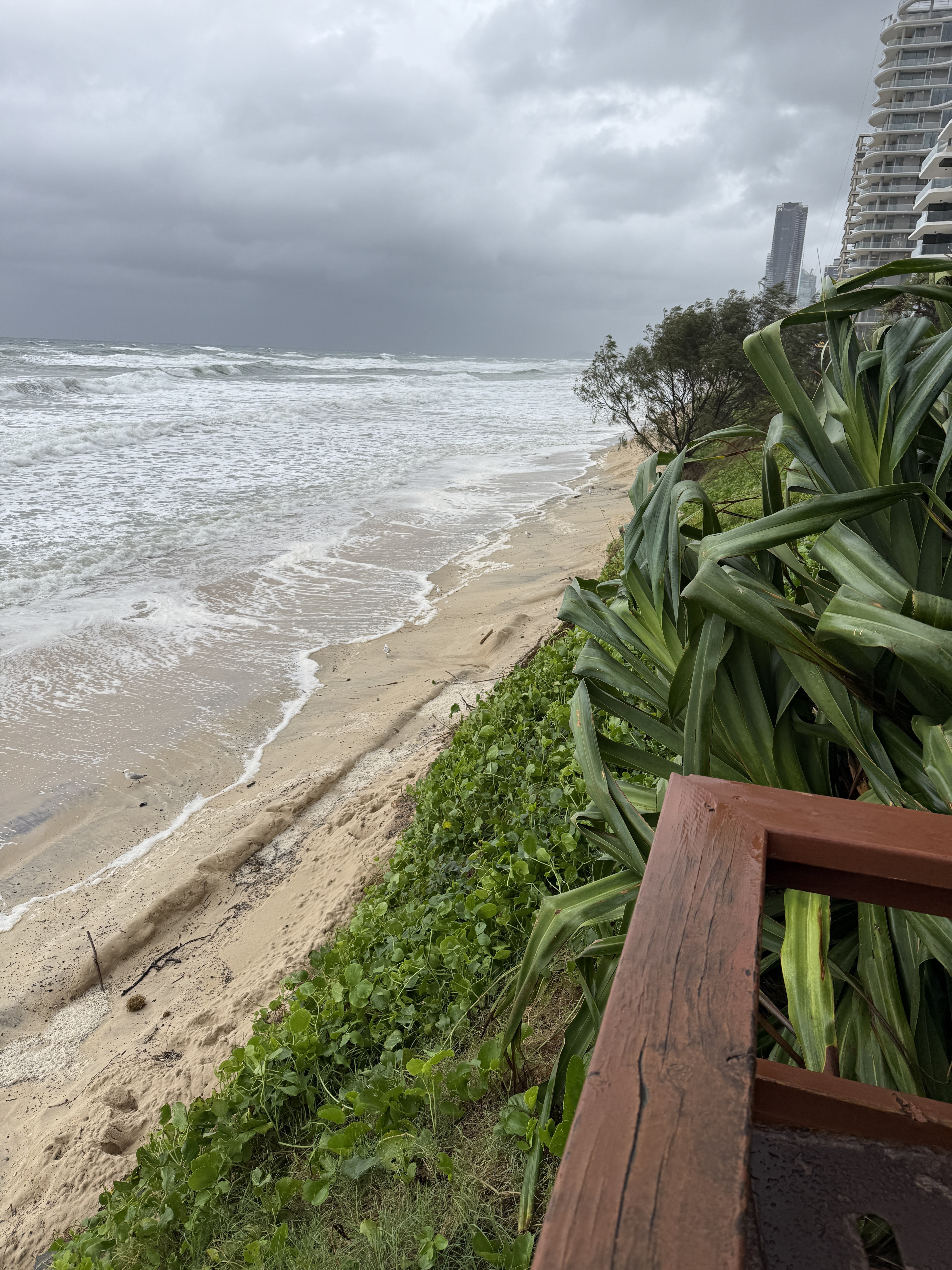 Recent Mainbeach Trip